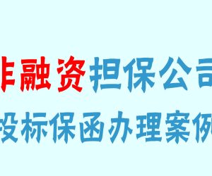 非融资性担保公司出具的投标保函