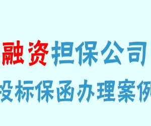 融资担保公司出具的投标保函