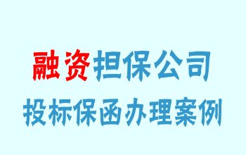 融资担保公司出具的投标保函